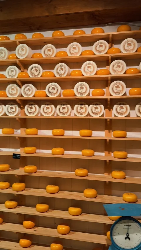 Cheese shop 9 (Editorial) Stock Footage 323522678