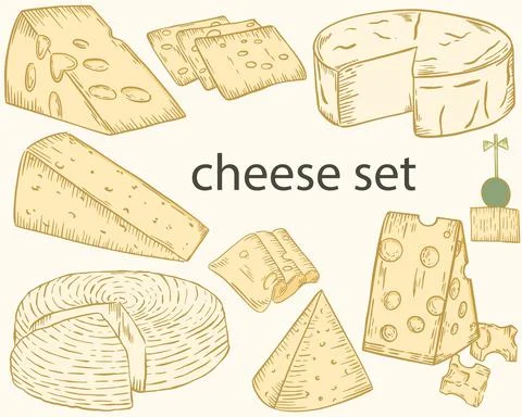 Cheese sketch. Vector set of different cheeses. Color illustration, hand draw. Stock Illustration
