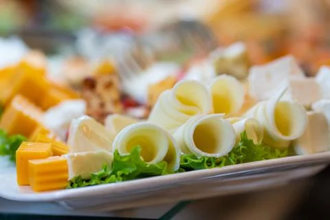 Cheese sliced with lettuce. Different types of cheese Stock Photos