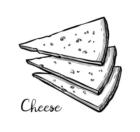 Cheese slices ink sketch. Stock Illustration