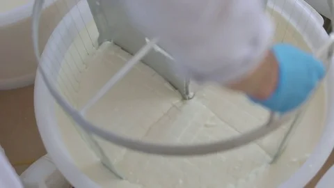 Cheese-starter room Stock Footage 73785495