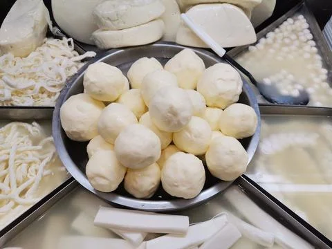 Cheese. Types of cheese. Stock Photos