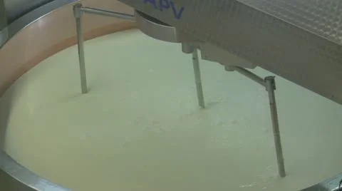 Cheese vat mixing close up Vidéo 10730083