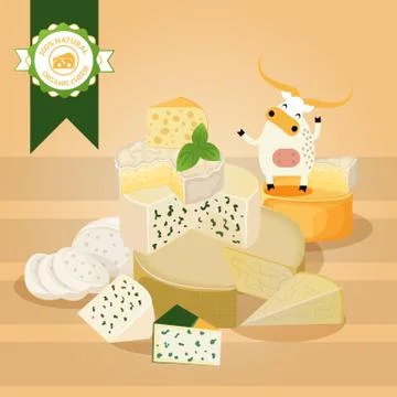 Cheese vector illustration. Various kinds of different cheese, tasty natural Stock Illustration