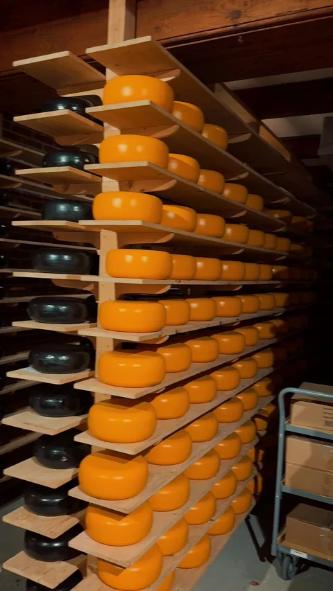 Cheese warehouse 3 (Editorial) Stock Footage 323522713