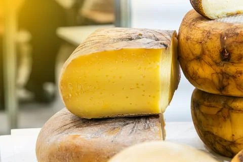 Cheese wheel with semi-hard texture, vibrant yellow interior, natural brown.. Stock Photos