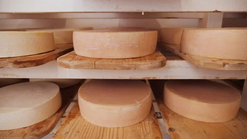 Cheese wheels maturing on shelves Stock Footage 154366323