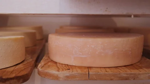 Cheese wheels maturing on shelves Video stock 157496540