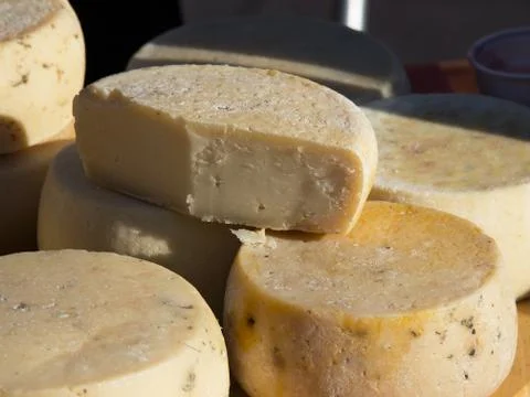 Cheese wheels Stock Photos