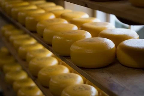 Cheese wheels on a shelf Stock Photos