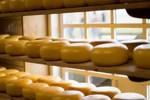 Cheese wheels on a shelf Stock Photos