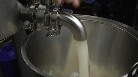 Cheese whey is drained from a cheese cooker into a bucket Stock Footage 129153864