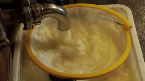 Cheese Whey Flows Away Stock Footage 36196668