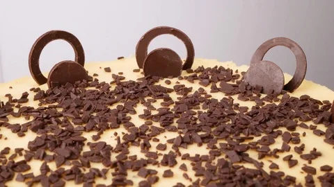 Cheesecake with chocolate chips. Rotation. Stock Footage 71133749