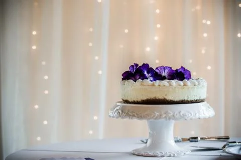 Cheesecake on elegant platter on display at reception Stock Photos