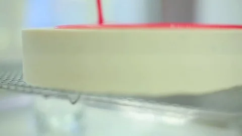 Cheesecake poured with a syrup Stock Footage 71655785