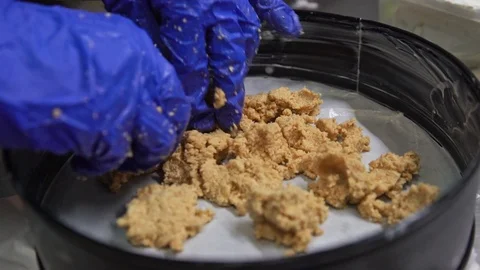 Cheesecake preparation process Stock Footage 120071717