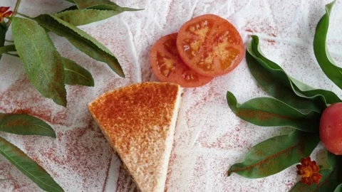 Cheesecake with tomatoes. white pie surrounded by green leaves Stock-Footage 147567346