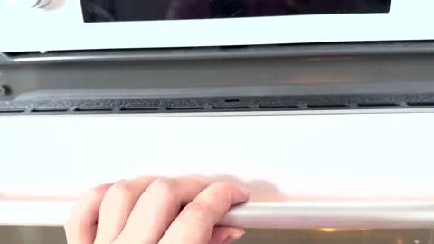 Cheesecakes are baked in the oven Stock Footage 285148719