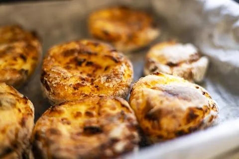 Cheesecakes cooked in an electric grill. Stock Photos