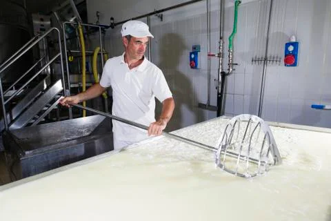 Cheesemaker breaks the curd Stock Photos