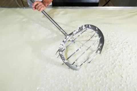Cheesemaker breaks the curd Stock Photos