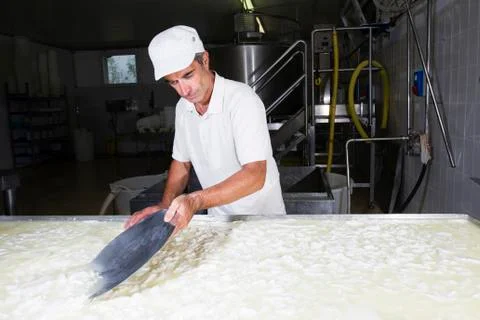 Cheesemaker breaks the curd Stock Photos