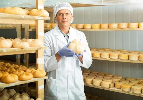 Cheesemaker checking aging process of cheese in maturing chamber Stock Photos