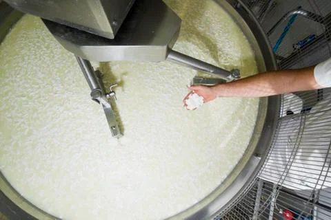 Cheesemaker controls the milk curd Stock Photos