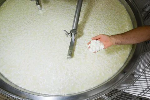 Cheesemaker controls the milk curd Stock Photos