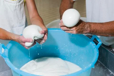 Cheesemaker cuts the mozzarella Stock Photos