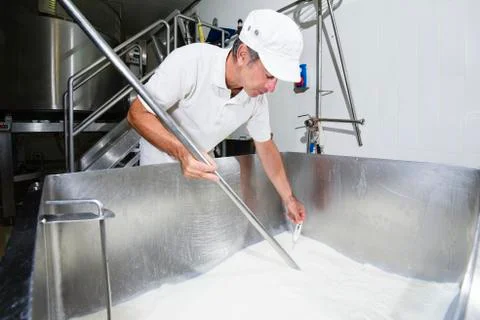 Cheesemaker measure temperature Stock Photos