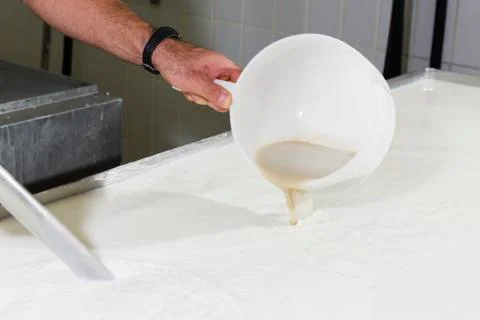 Cheesemaker pours rennet Stock Photos