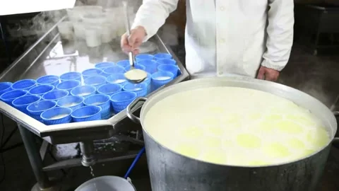 Cheesemaker pours the ricotta into plastic forms Stock Footage 168531060