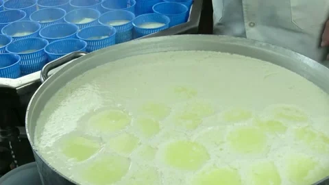 Cheesemaker pours the ricotta into plastic forms Stock Footage 177095496