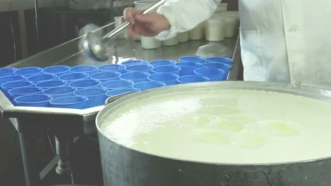Cheesemaker pours the ricotta into plastic forms - process of making cheese Stock Footage 197360635