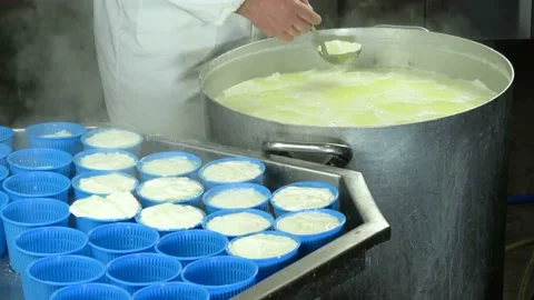 Cheesemaker pours the ricotta into plastic forms Stock Footage 198031043