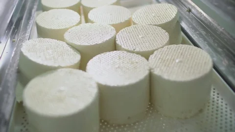 Cheesemaker preparing fresh cheese Stock Footage 75124141