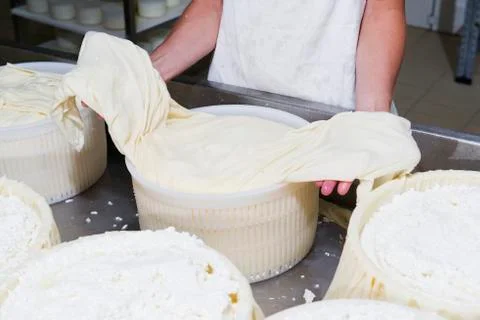 Cheesemaker preparing fresh cheese Stock Photos