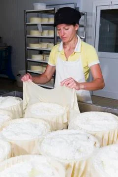 Cheesemaker preparing fresh cheese Stock Photos