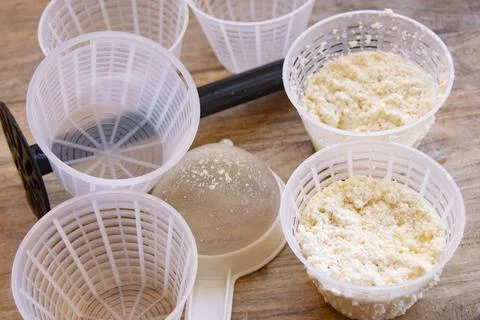 Cheesemaker preparing fresh ricotta cheese using plastic draining baskets a.. Stock Photos