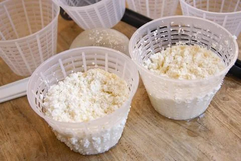 Cheesemaker preparing fresh ricotta cheese using plastic draining baskets a.. Foto stock