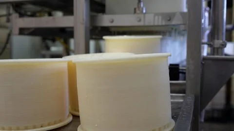 Cheesemaker removing fresh cheese wheels from molds 스톡 동영상 347486753