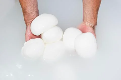 Cheesemaker shows mozzarella Stock Photos