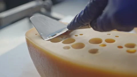 Cheesemaker in uniform and blue glowes removes a sample of cheese at the factory Stock Footage 145419480