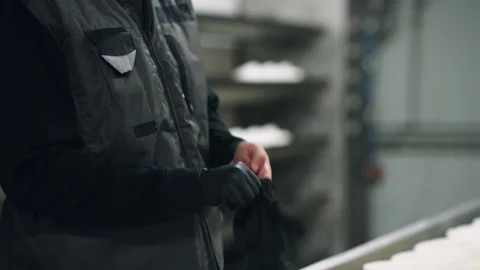 Cheesemaker worker putting on protective gloves 스톡 동영상 344824838