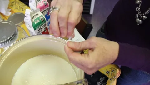 Cheesemaking  7098 Video stock 2753219