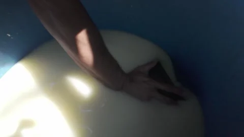 Cheesemaking. extracting whey liquid, a byproduct of cheese. Artisanal process Stock Footage 313983513