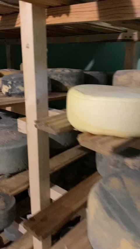 Cheeses are dried in a warehouse, special shelves, cooking process Stock Footage 322008074