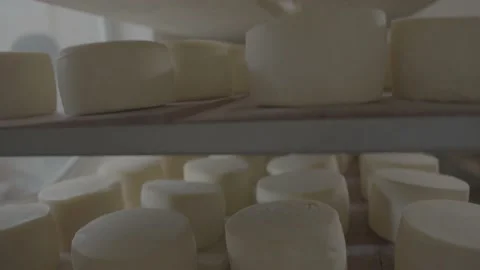 Cheeses arranged inside a rack, ready for sale 動画素材 222016049
